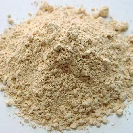 241 - Alho Desidratado em Pó (100g)