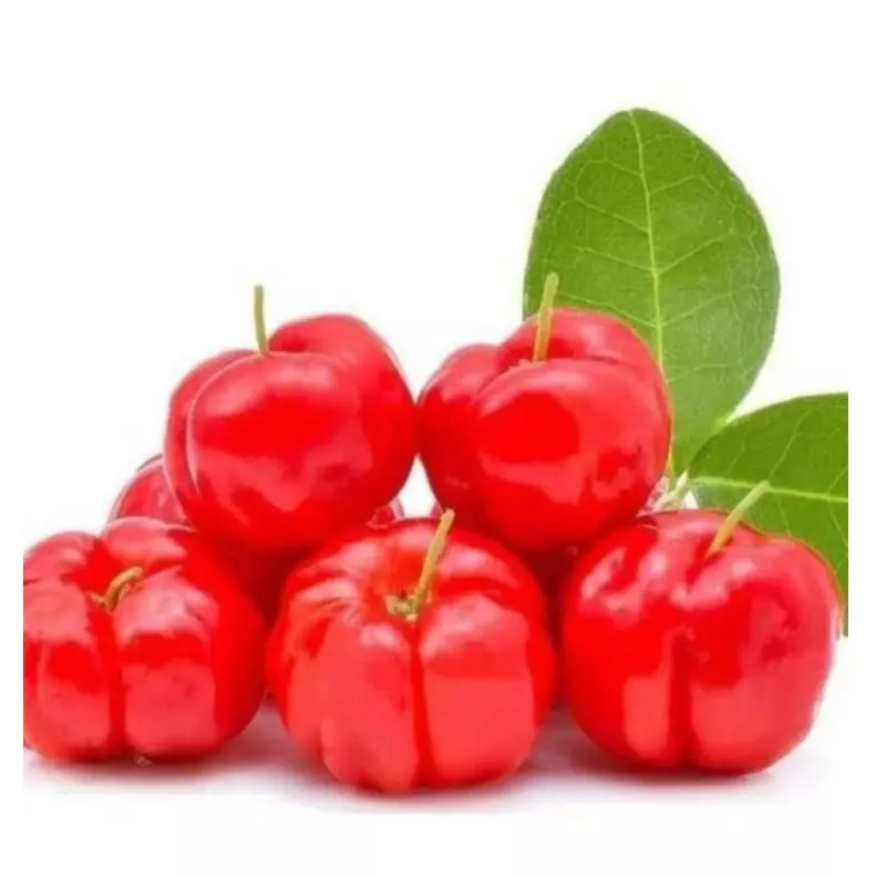 ACEROLA - PACOTE