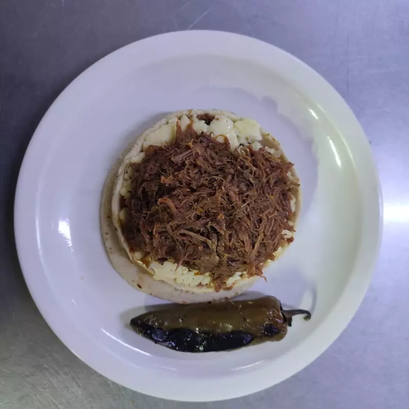 PELLIZCADA DE BIRRIA