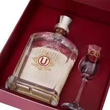 PORTÓN EDIC LIMITADA UNIVERSITARIO