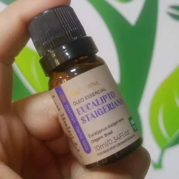Óleo essencial eucalipto staigeriana