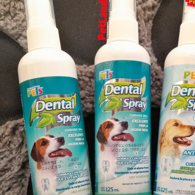 Spray dental