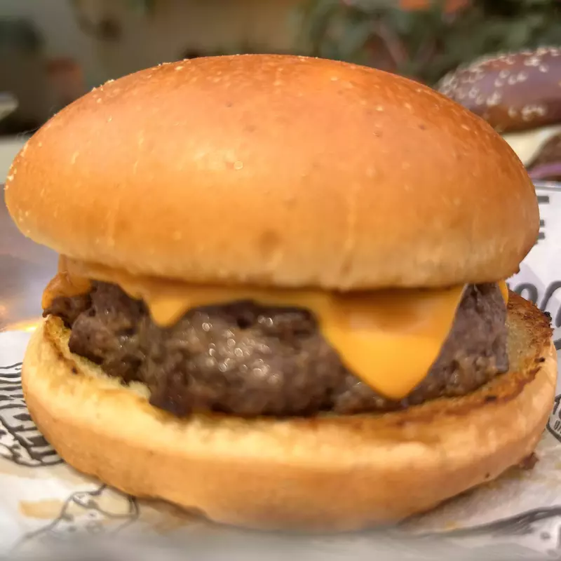 Burguer Cheddar