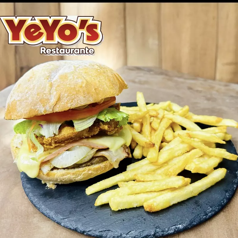 Combo Hamburguesa Premium  de Pollo