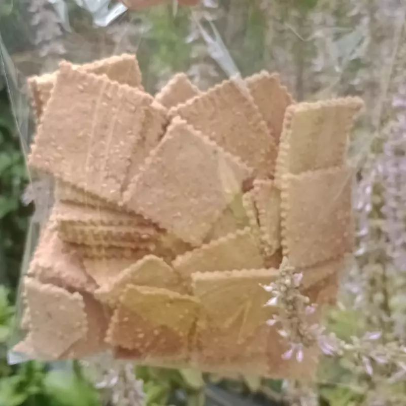 Biscoito cracker de Gergelim 200gr