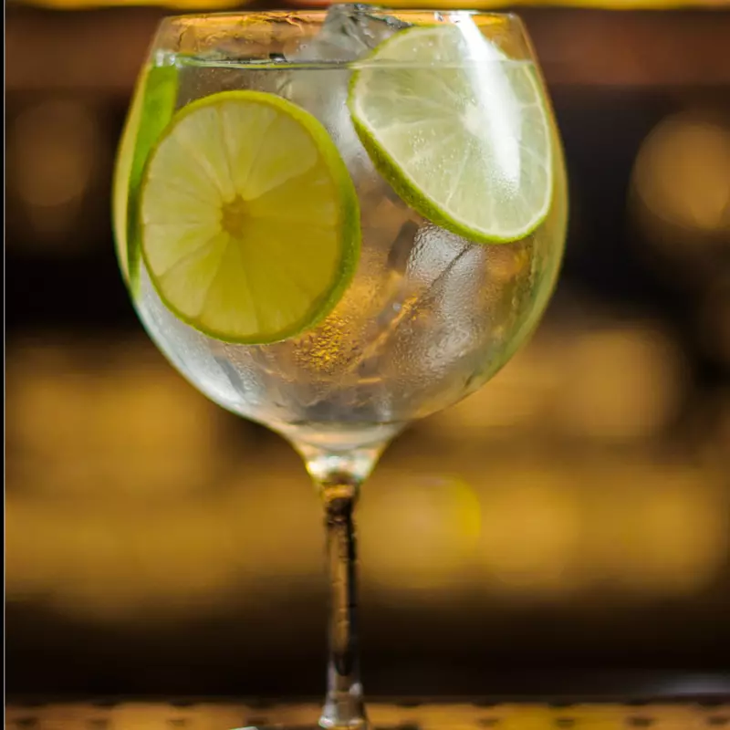 Gin Tônica - Premium