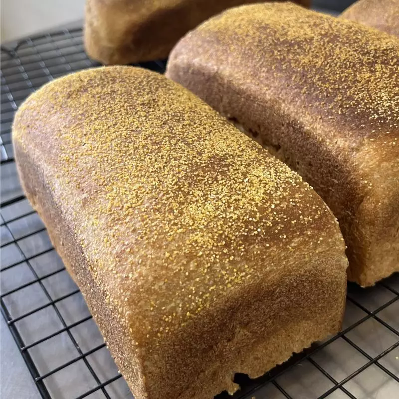 Pão Australiano (Outback)