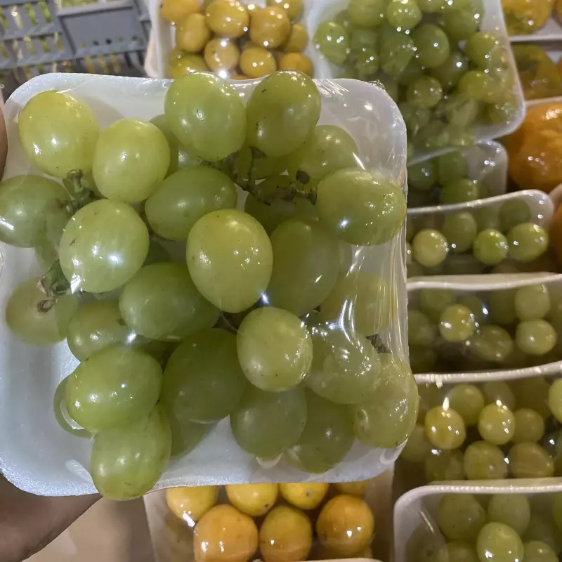 Uva Itália com semente