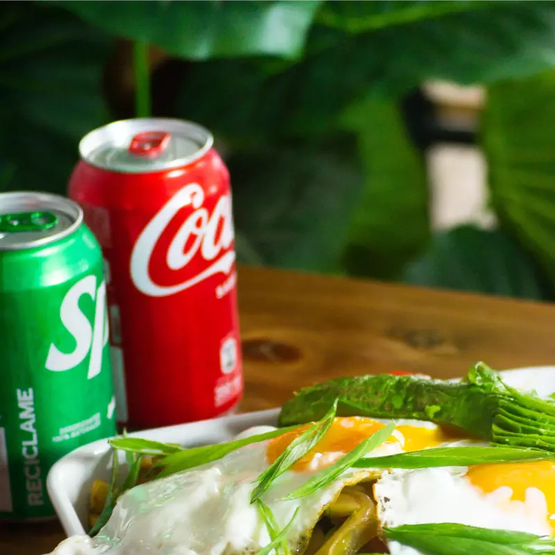 PICHANGA VEGETARIANA MEDIANA 13MIL