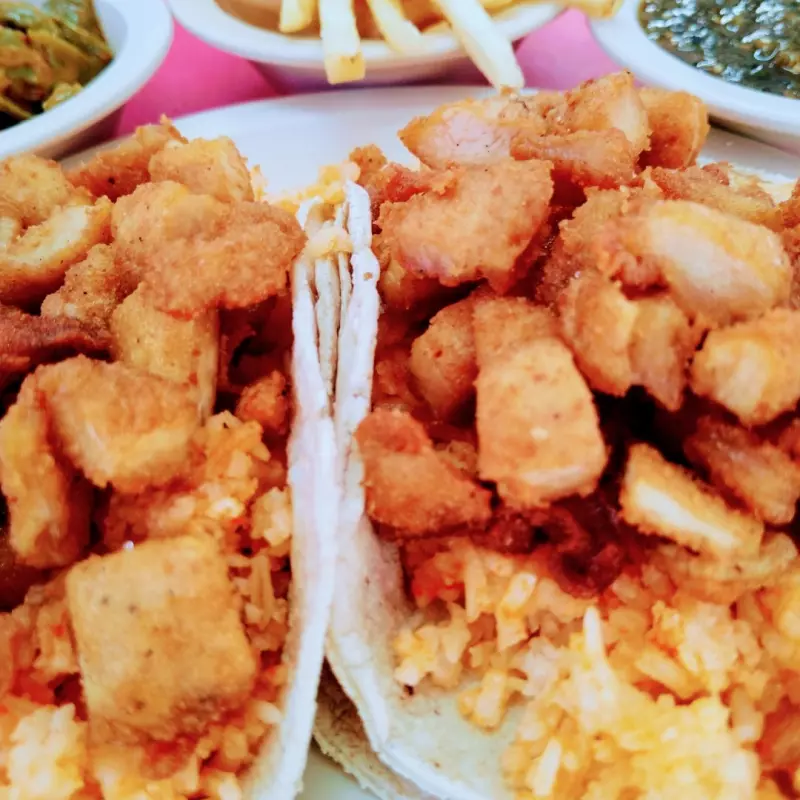 ACORAZADO CARNÍVORO 🐔🐷