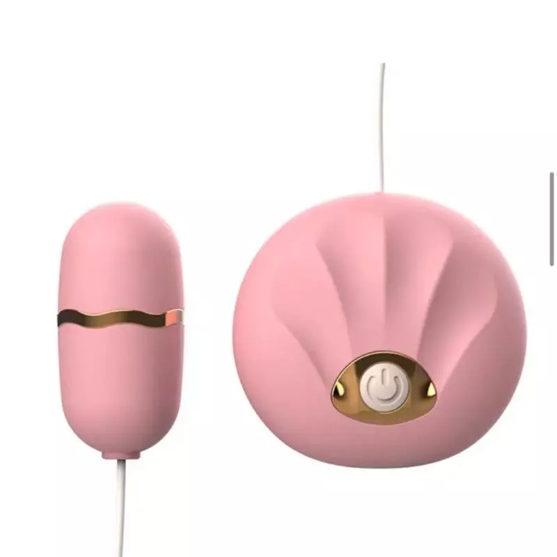 Vibrador com controle
