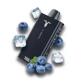 V150 PRO Blueberry Ice