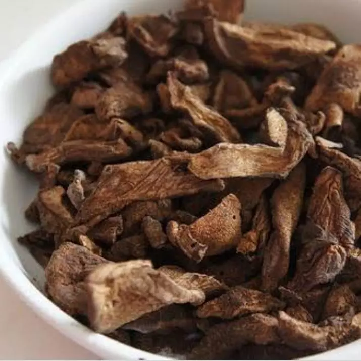 Fungi Cogumelo desidratado Laminado