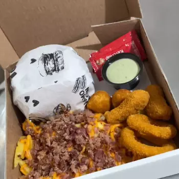 1 Artesanal + batata + nuggets/anel