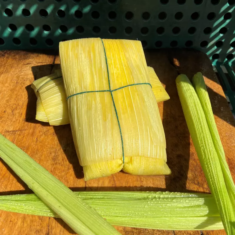 Pamonha Salgada Tradicional