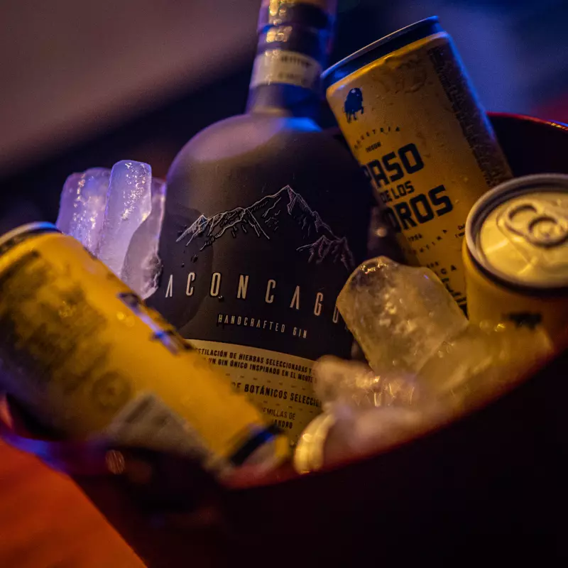 Botella de Aconcagua 750ml