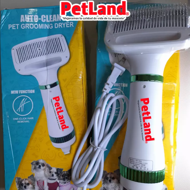 Cepillo y secador eléctrico