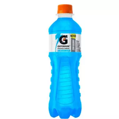 Gatorade Frutas Silvestres - 350 ml