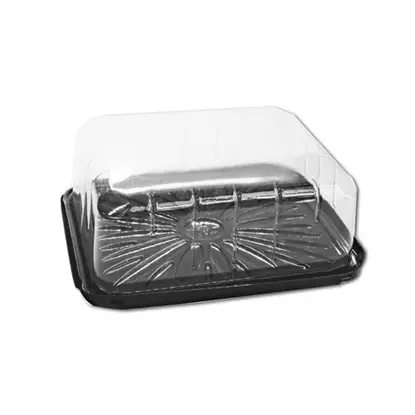 Envase rectangular g45ct