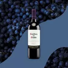 Vinho Casillero Del Diablo Merlot
