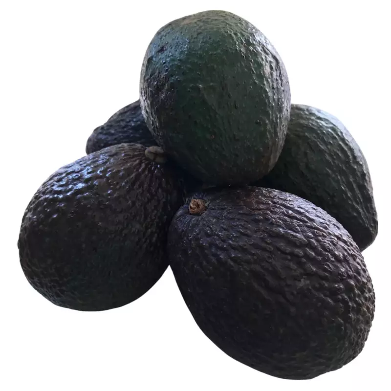 Aguacate orgánico x unidad