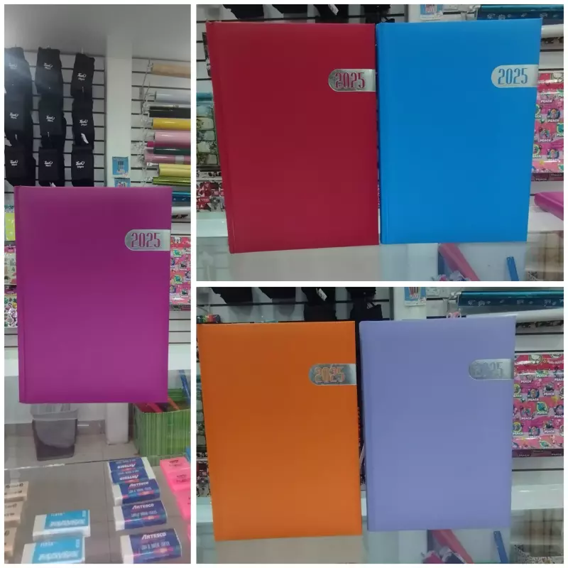 Agenda 2025 colores surtidos