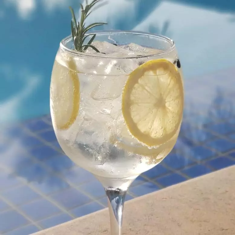 GIN TÔNICA