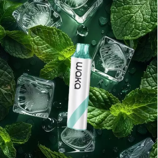 Fresh Mint