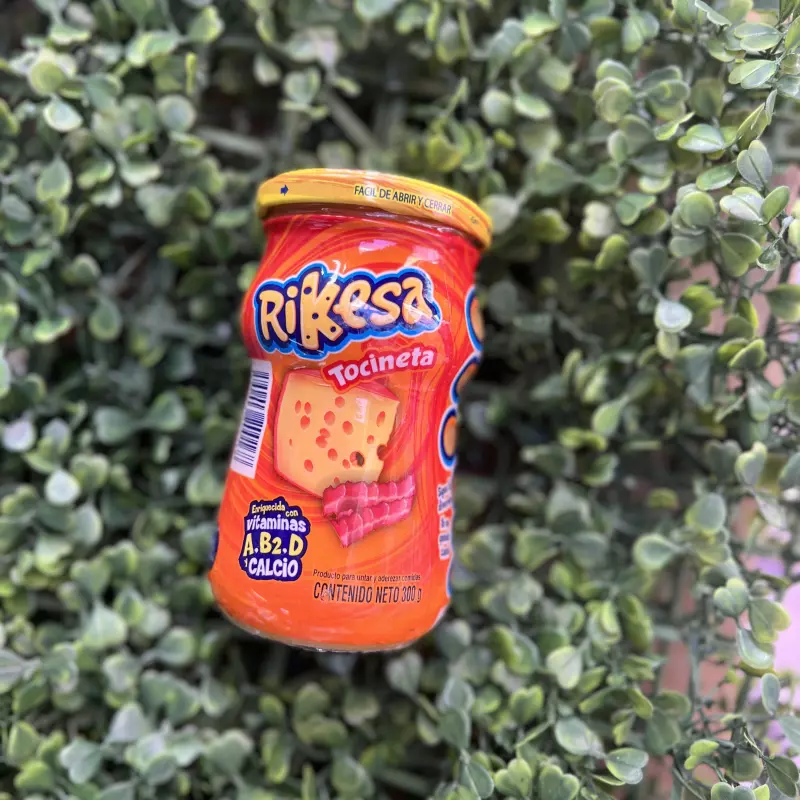 RIKESA TOCINETA GRANDE 🐷