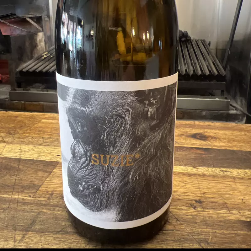 Suzie  Fundación La Mona Empordà