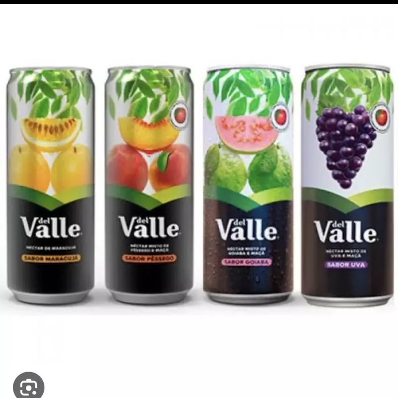 Suco  lata 290 ml DellVale