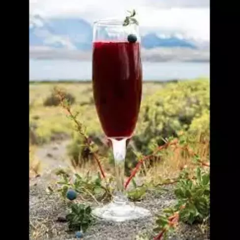 Calafate Sour