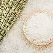 Arroz Jasmin blanco