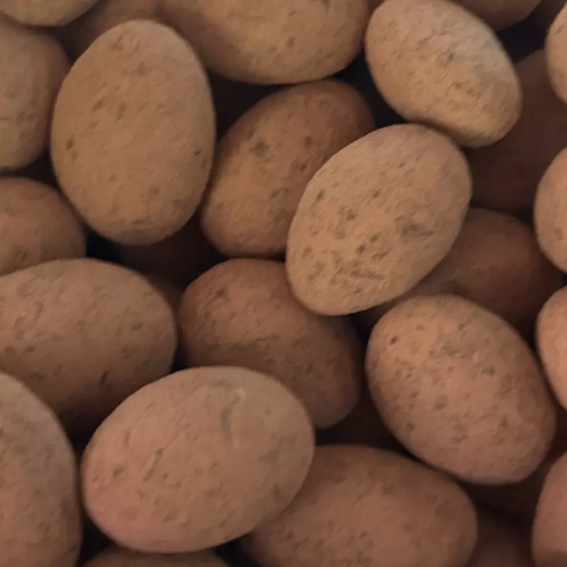 Almendra Cocoa 100 gr.
