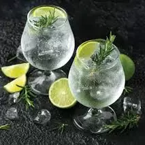 Gin Tonic 1L