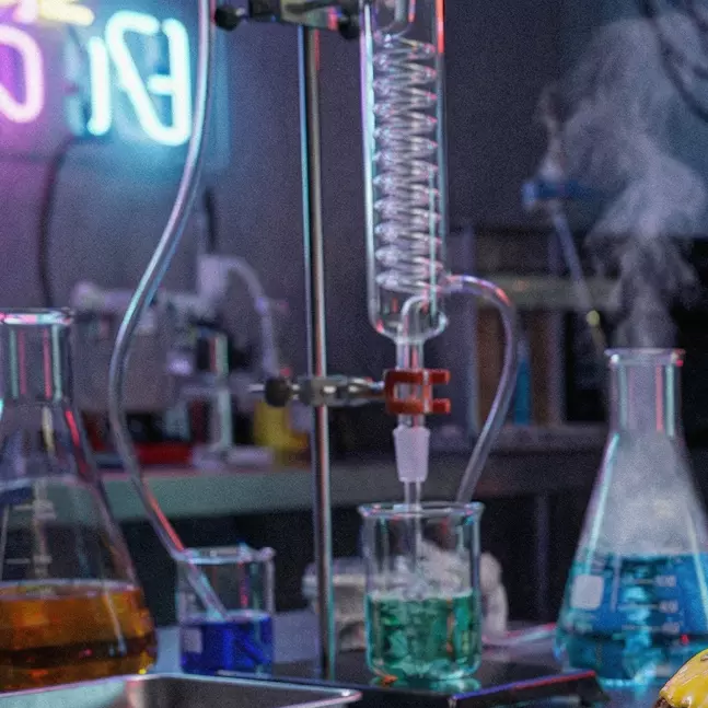 PROTO #01 — FRULALOKA®