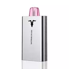 IGNITE V50 (5.000 Puffs) Silver