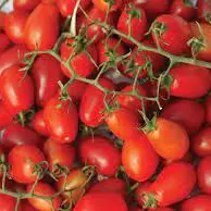 TOMATE CHERRY BANDEJA