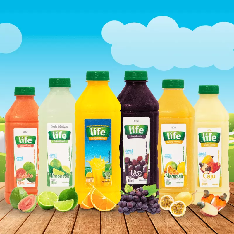 LÍFE SUCOS "G" (Sabores)