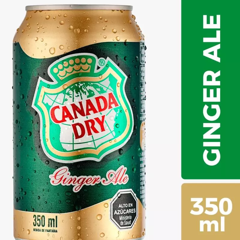 GINGER ALE LATA 350 ML