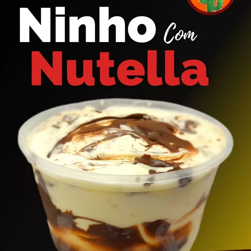 Sorvete pote 1 litro ninho c/nutella