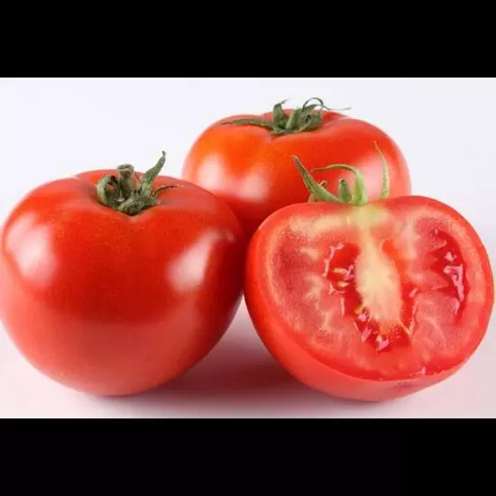 TOMATE 番茄