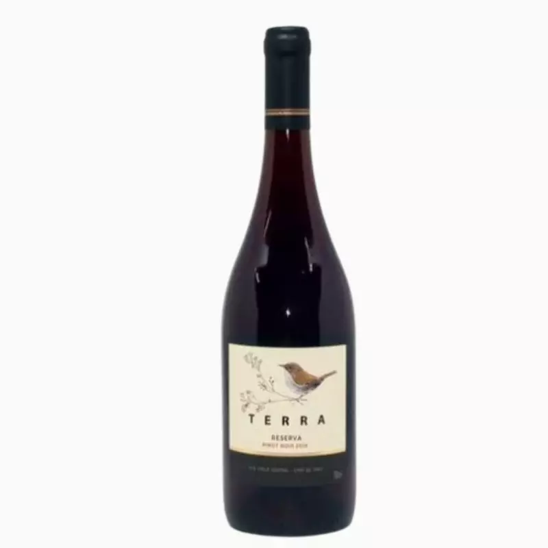🇨🇱 TERRA RESERVA PINOT NOIR