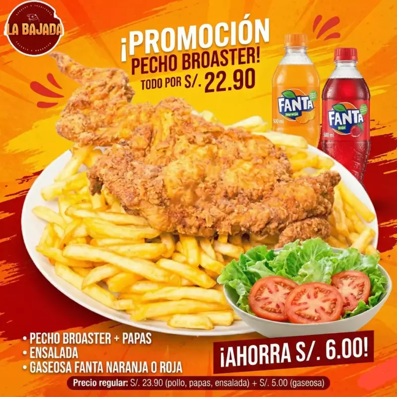 PROMO SOLO DELIVERY 1/4 PECHO