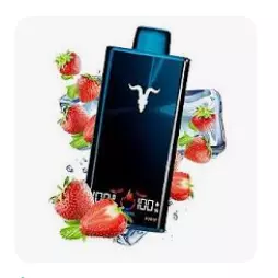 v300 watermelon ice