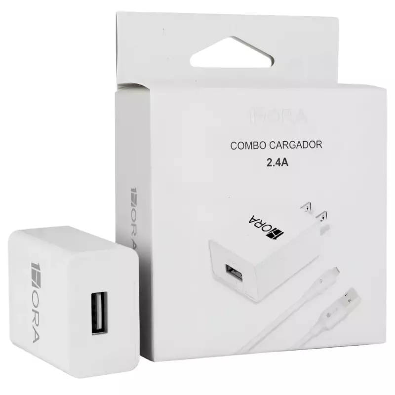 Clave: GAR143 Cargador 2.4 IP