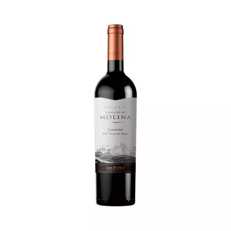 Vino Castillo de Molina Carmenere 14