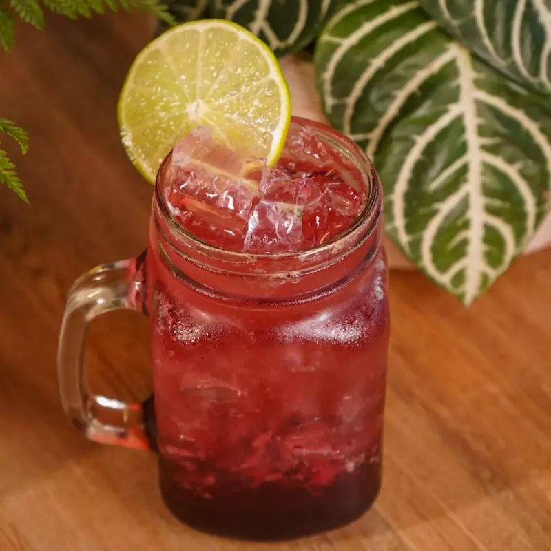 SODA FLOR DE JAMAICA Y JENGIBRE