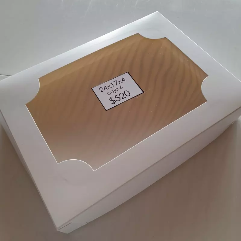 caja 6 (24x17x4)