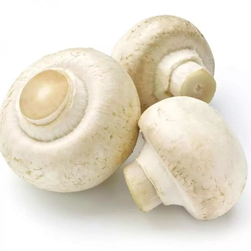 Champiñon Blanco 250gr
